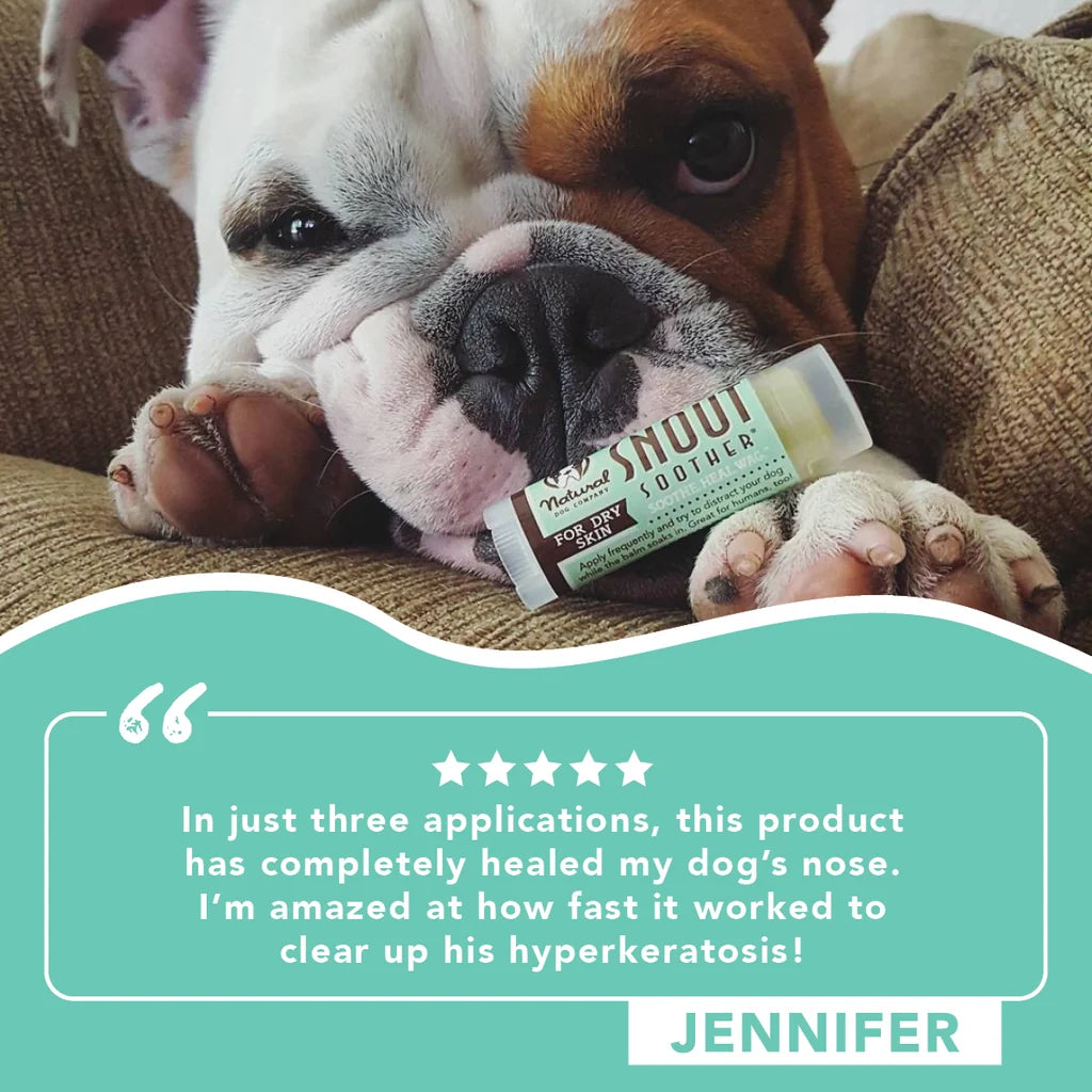Natural Dog Company Snout Soother Travel Stick .15 oz