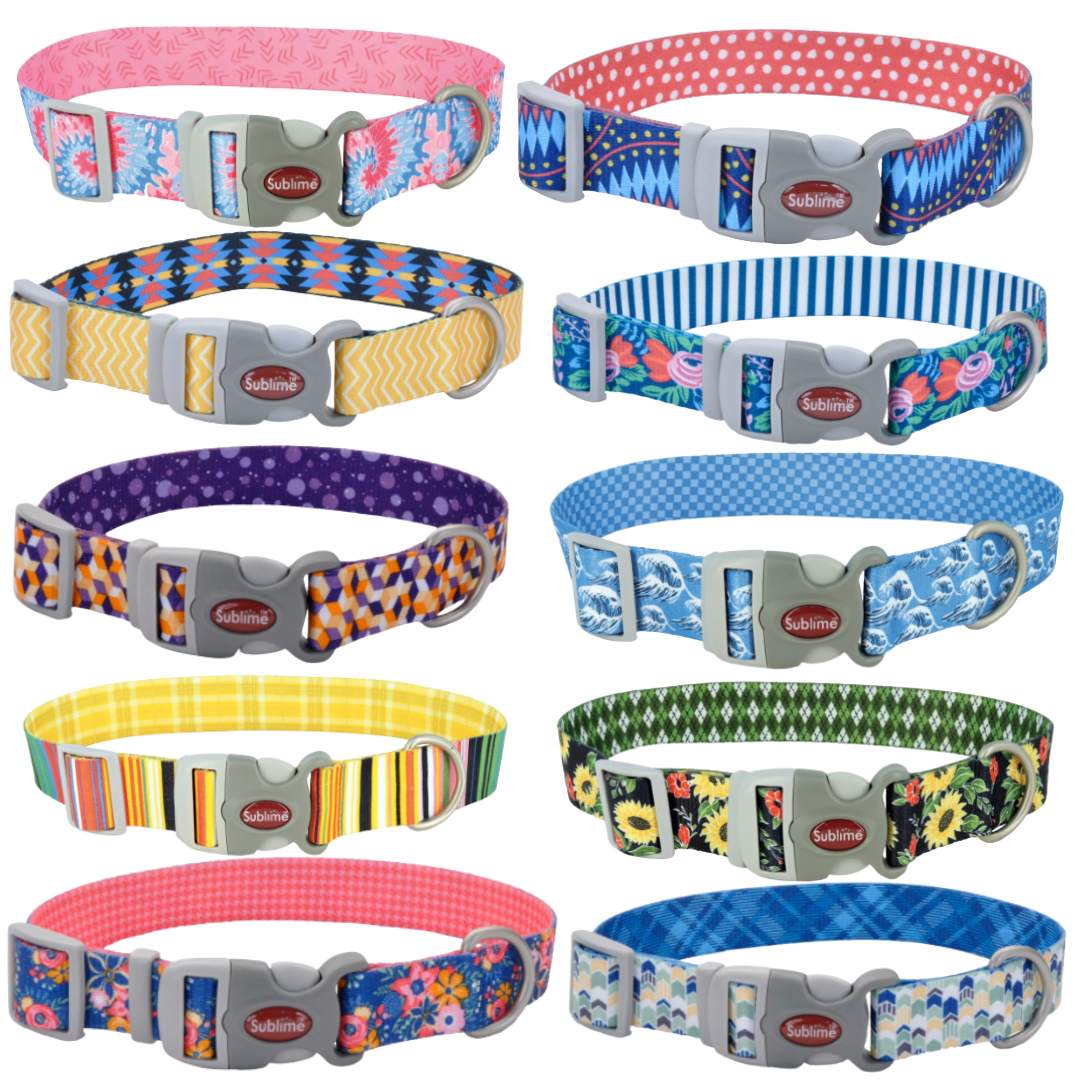 Sublime Adjustable Dog Collar
