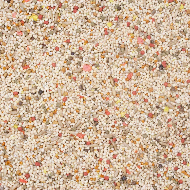 Higgins Vita Seed Natural Blend for Parakeets 5 lb