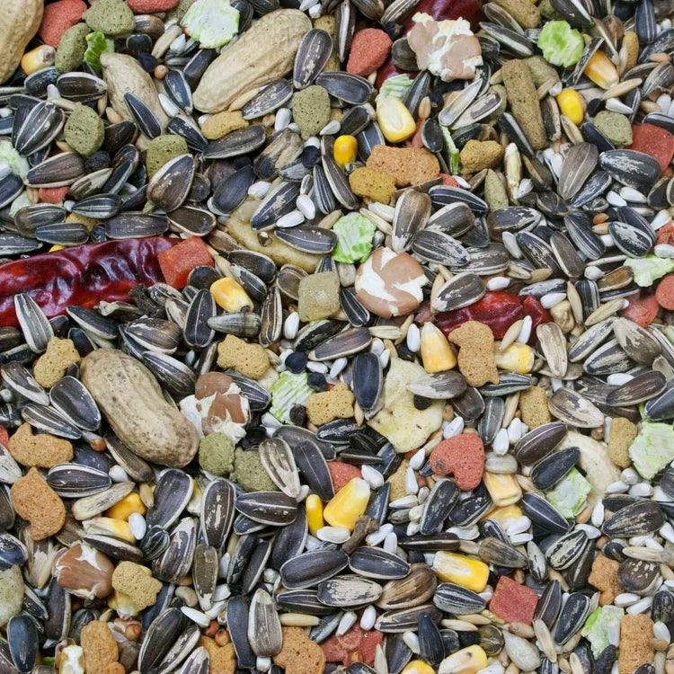 Higgins Vita Seed Natural Blend for Parrots 5 lb