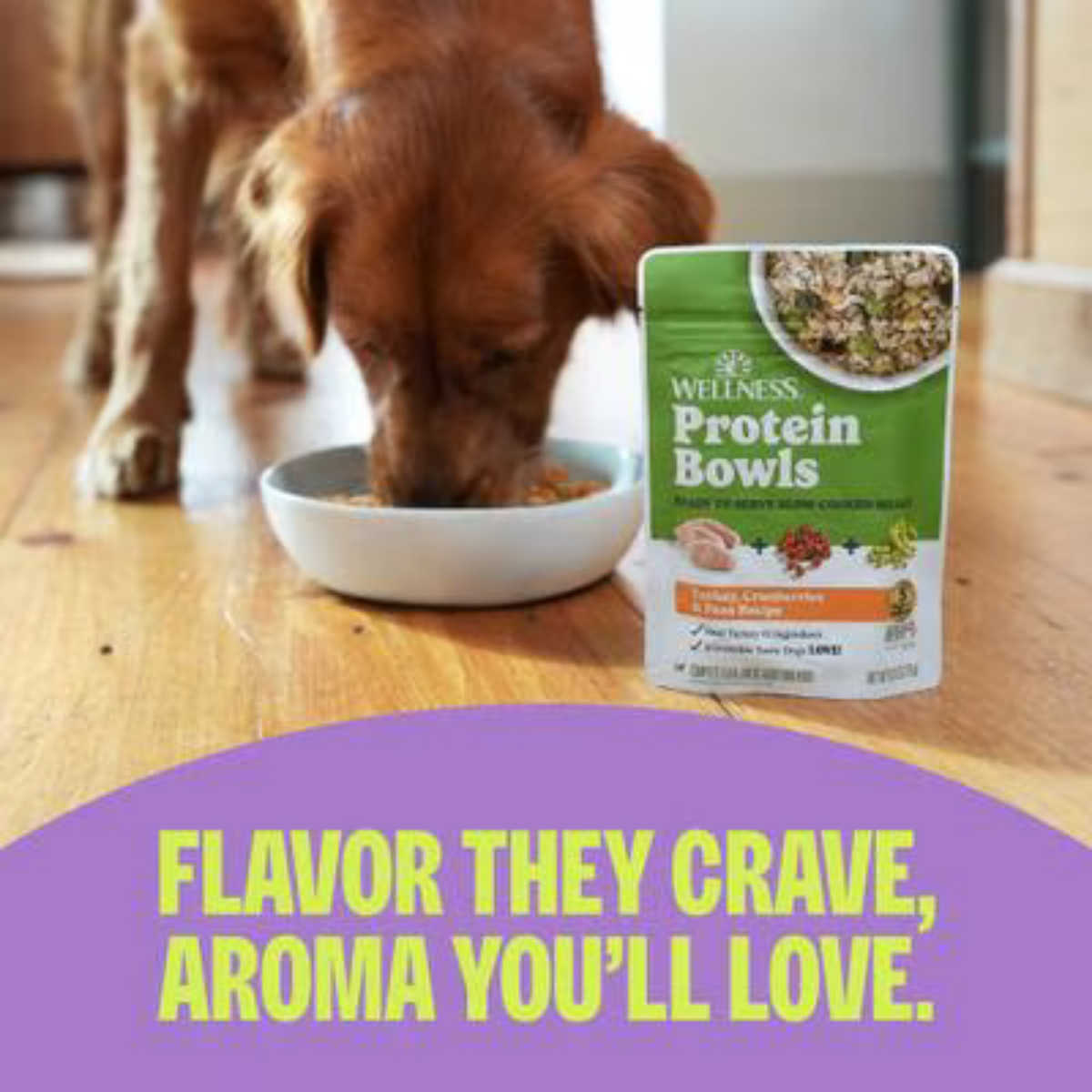 Wellness Protein Bowls Adult Wholesome Grains Chicken, Quinoa & Pumpkin Fresh Alternative Dog Food