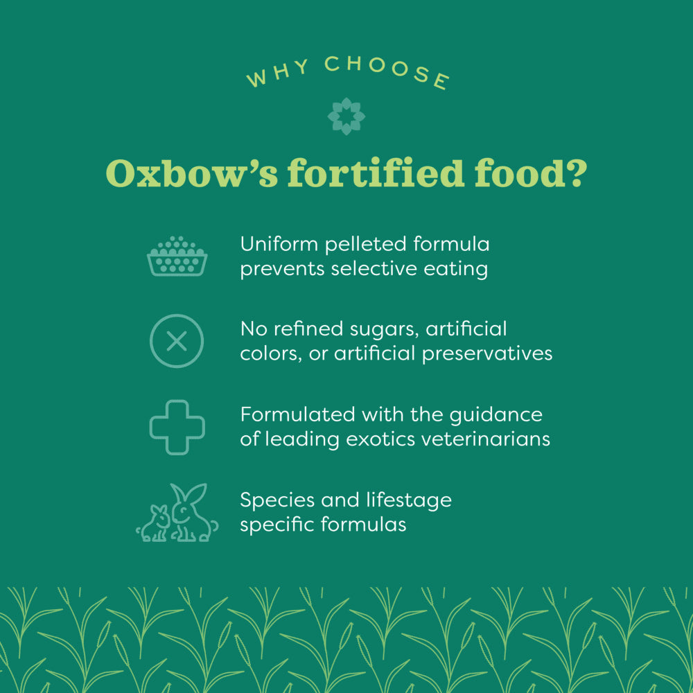 Oxbow Essentials Adult Rat Food 3 lb