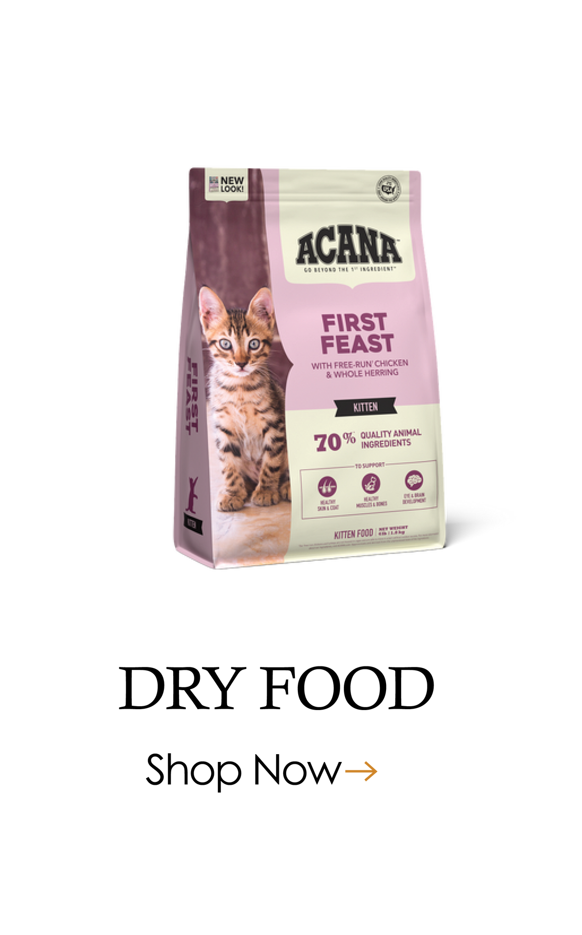 Cat Food Dry Food