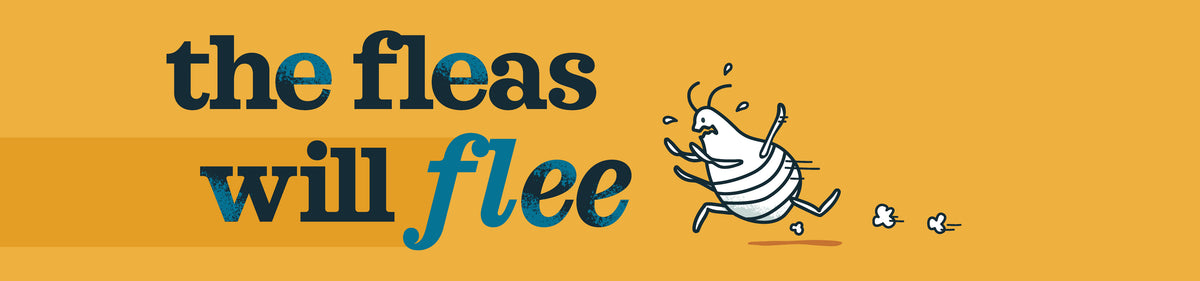 Feeders Pet Supply