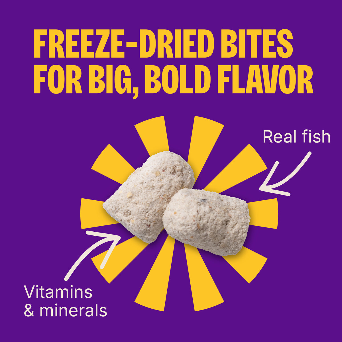 Wellness Complete Health+ Dry Dog Food, Whitefish Recipe