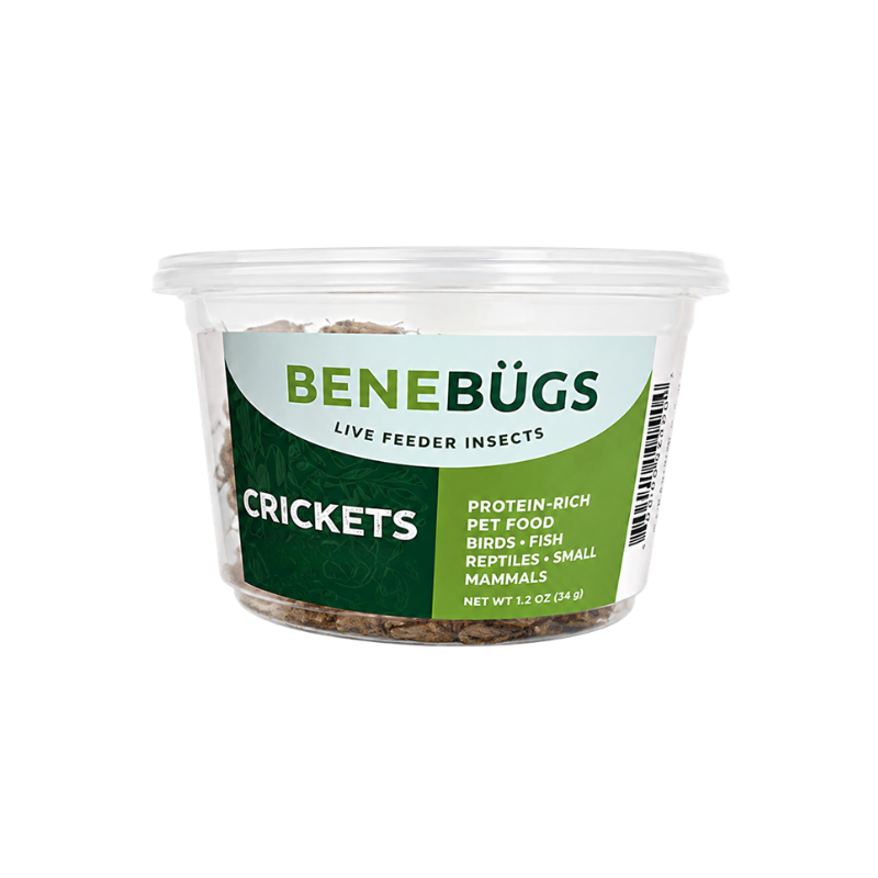 Apet Benebug Grab N' Go 3/4 in Live Crickets 12 ct