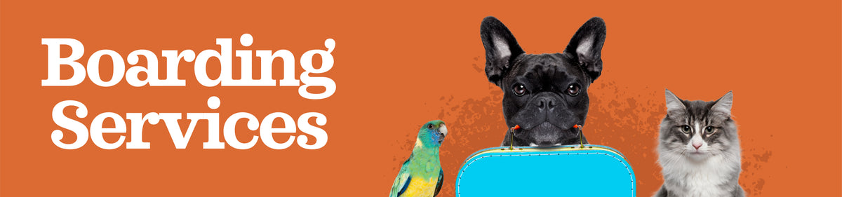 Feeders Pet Supply