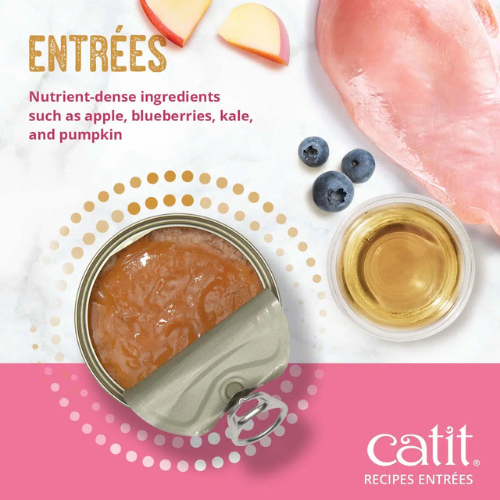 Catit Chicken Entrée in Bone Broth Wet Food for Kittens