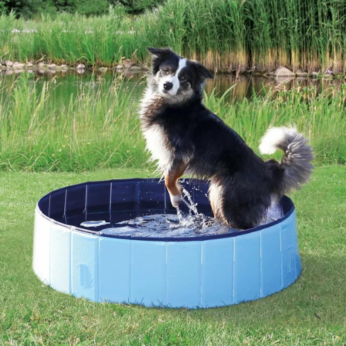 Goo-eez Foldable & Portable Pet Swimming Pool