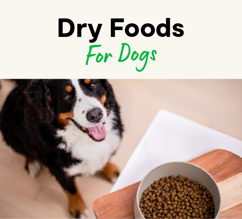 Dry Dog Food