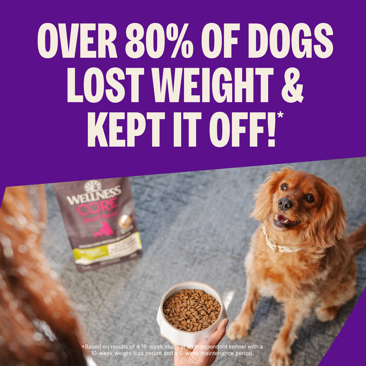 Wellness Core Small Breed Healthy Weight Deboned Turkey, Turkey Meal, & Chicken Meal Recipe Grain-Free Dry Dog Food 4 lb