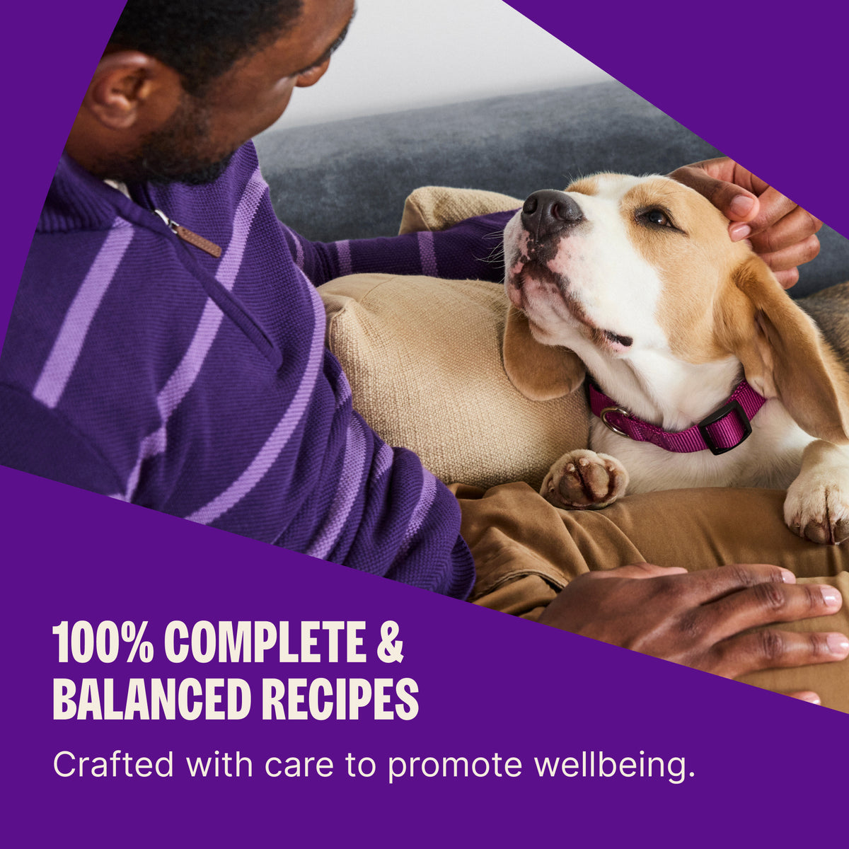 Wellness Complete Health Adult Whitefish & Sweet Potato Recipe Dry Dog Food