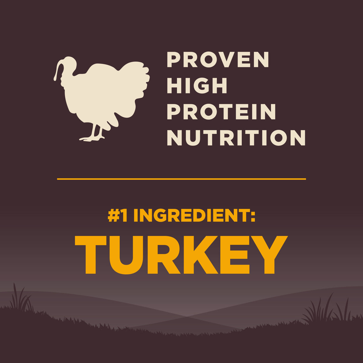 Wellness Core Small Breed Puppy Deboned Turkey, Turkey Meal, & Salmon Meal Recipe Grain-Free Dry Dog Food 4 lb