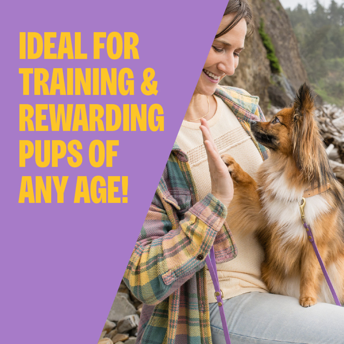 Wellness Soft Puppy Bites Lamb & Salmon Recipe Grain-Free Dog Treats 3 oz
