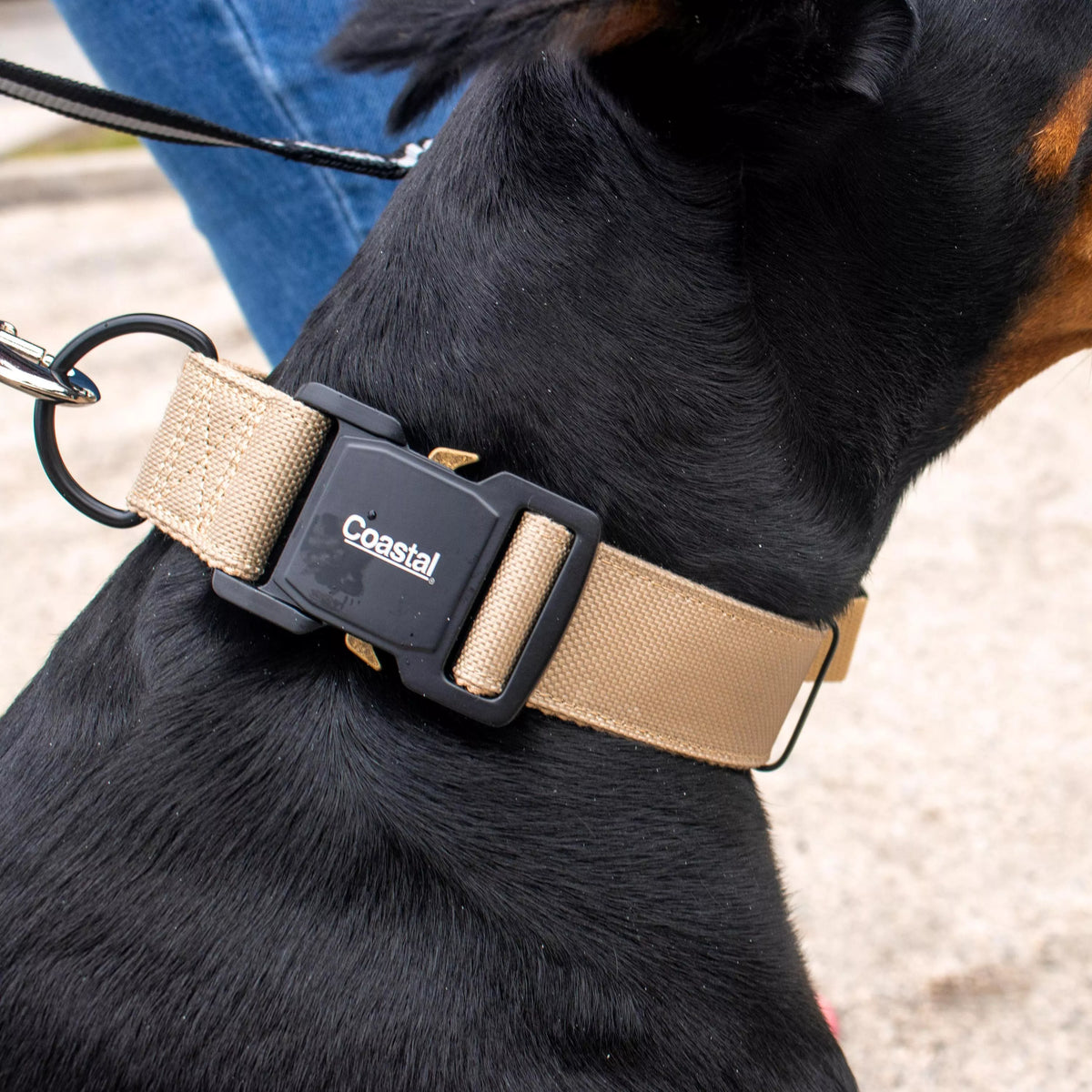Coastal Pet Products Macho Dog Tactical Adjustable Dog Collar- Black