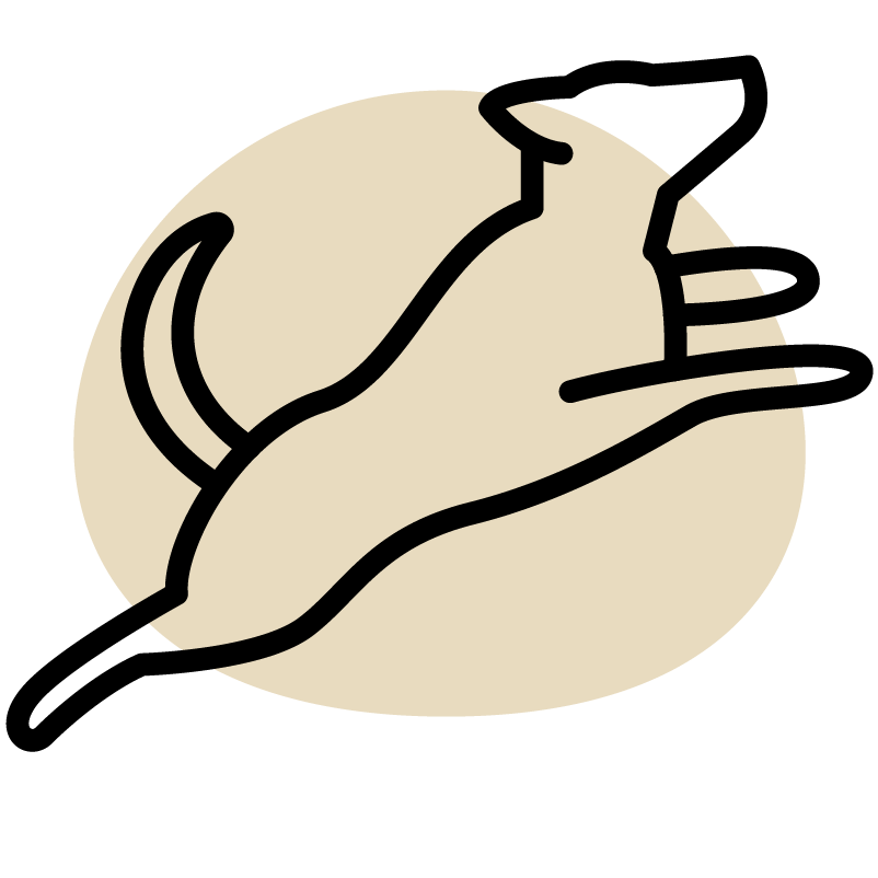 Outline of a hand reaching upwards with a beige circle and text 'Increase energy' below on a white background.