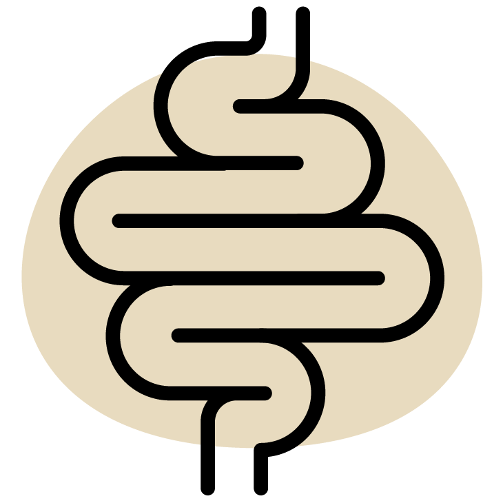 Logo of a stylized intestine with 'Improve digestion' text on a beige background