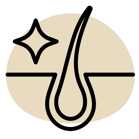 Icon of a hair shaft with a star, representing healthy skin and coat on a beige background.