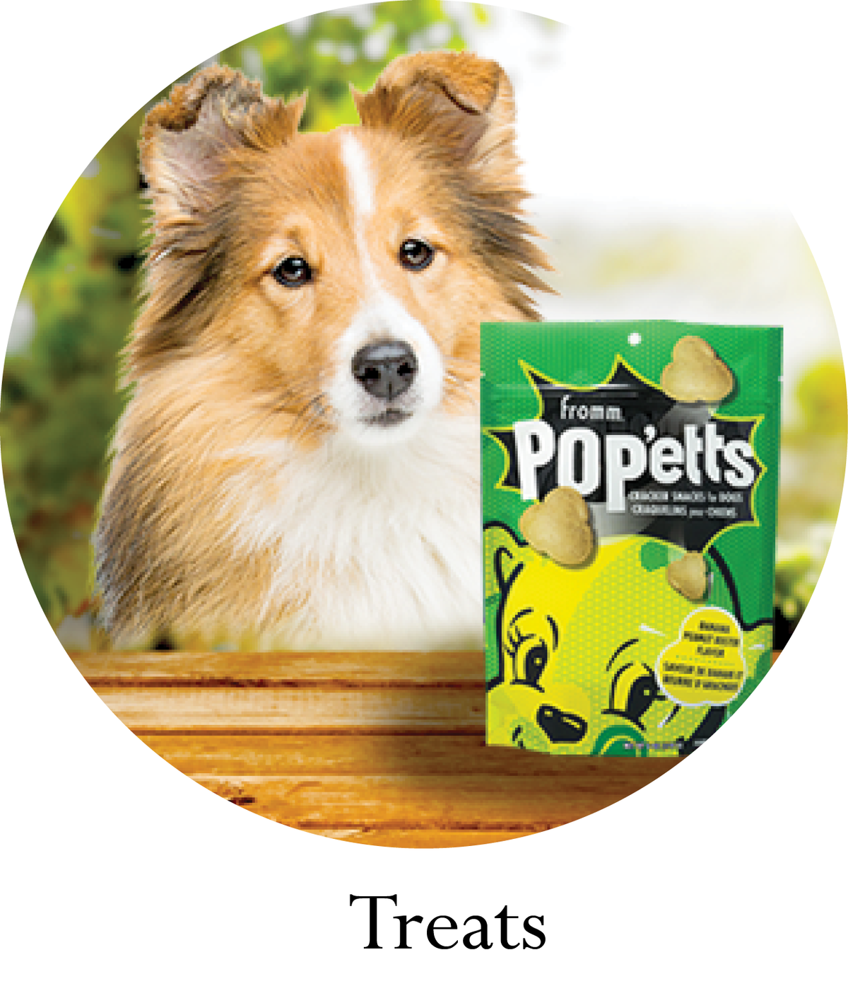 Dog Treats