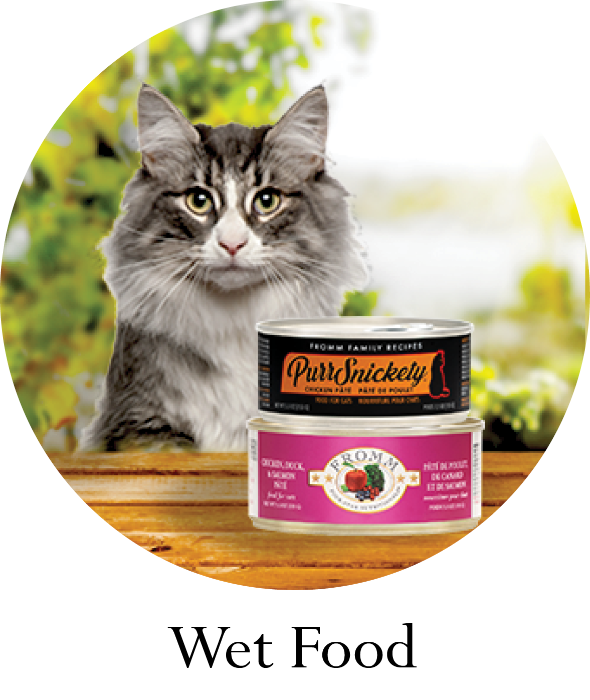 Cat Food Wet Food