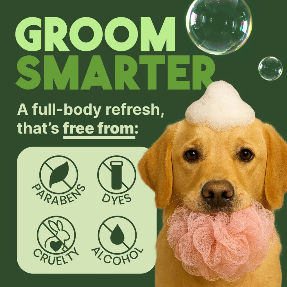 Tropiclean Aloe And Coconut Deodorizing Shampoo For Pets 20 oz
