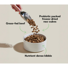 Open Farm GoodGut Grass-Fed Beef Dog Kibble