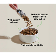 Open Farm GoodGut Wild-Caught Salmon Dog Kibble