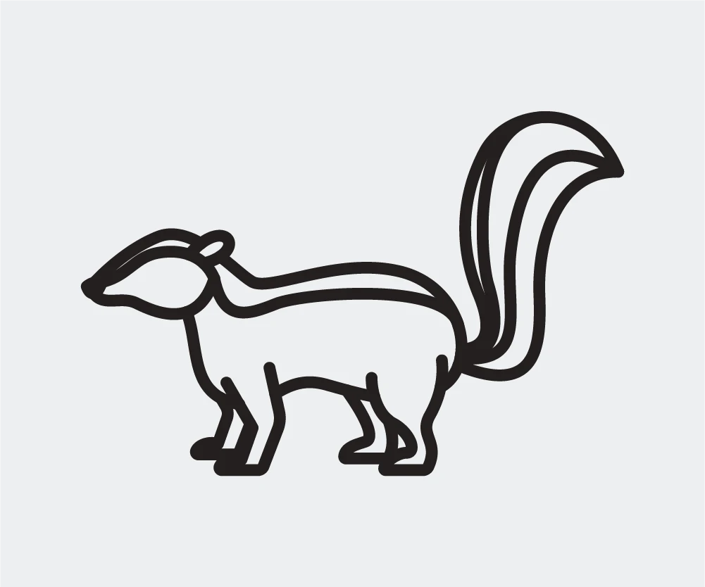<strong>De-Skunk Treatment</strong>