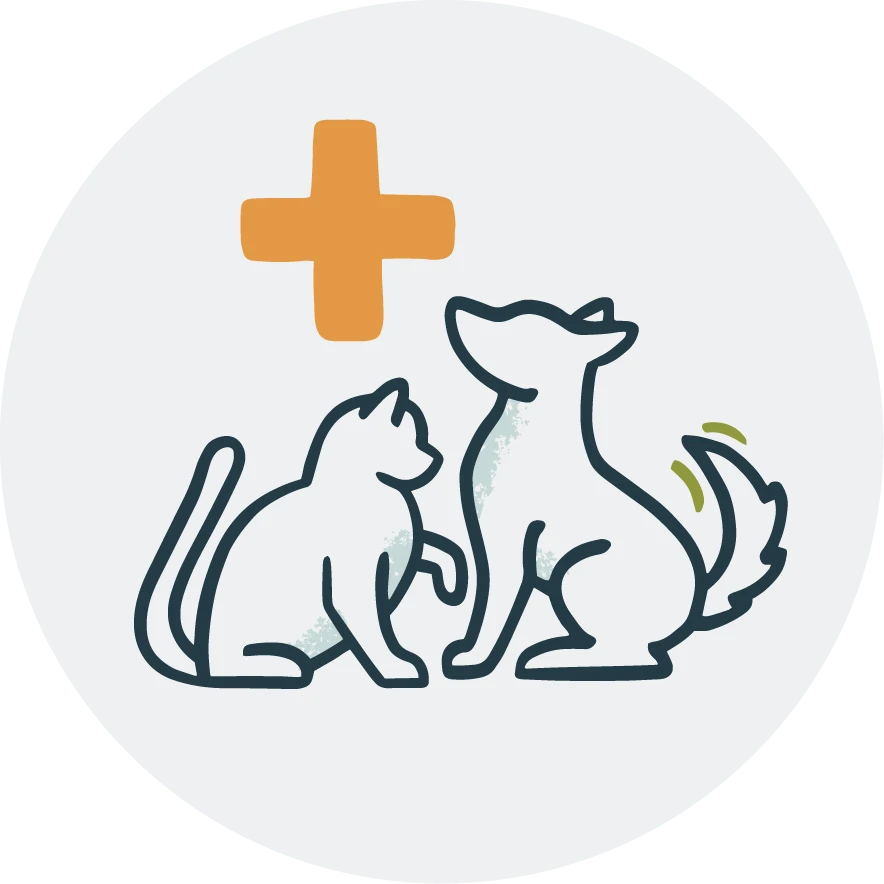 <strong>Pet Care Clinics</strong>