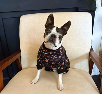 PETRAGEOUS Halloween Pumpkin Face Pet Pajamas