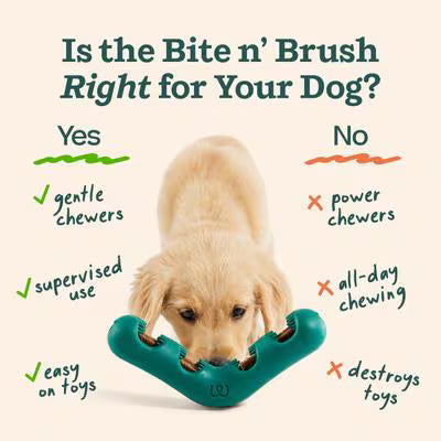 Woof Holiday Red Bite N Brush Refillable Dental Dog Chew