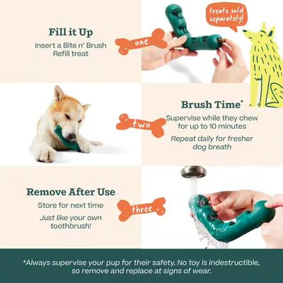 Woof Holiday Red Bite N Brush Refillable Dental Dog Chew