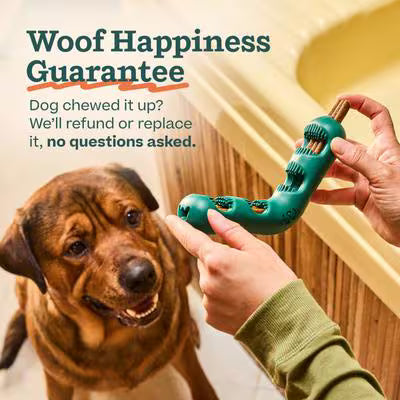 Woof Holiday Red Bite N Brush Refillable Dental Dog Chew