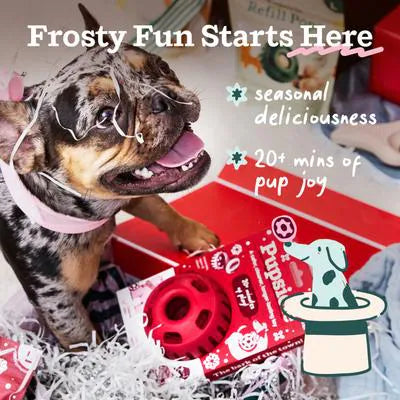 Woof Holiday Jolly Red Pupsicle Treat Dispensing Dog Toy
