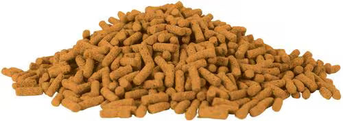 Tetra Pond Vibrance Color Enhancing Koi & Goldfish Sticks Food 4.94 oz