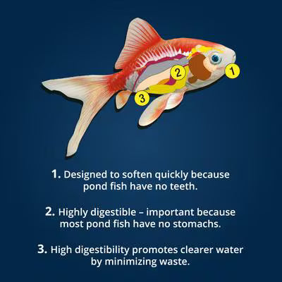 Tetra Pond Vibrance Color Enhancing Koi & Goldfish Sticks Food 4.94 oz
