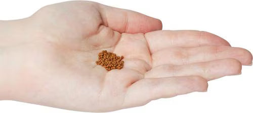 Omega One Super Color Small Cichlid Pellets Sinking Fish Food 4.2 oz