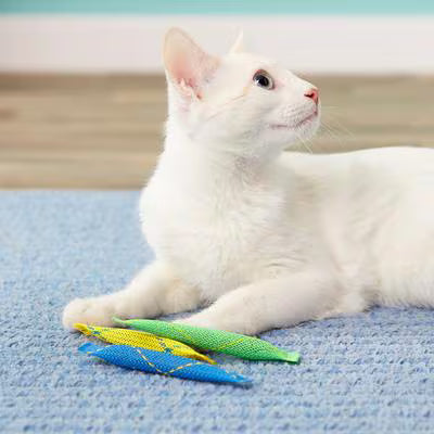 Pioneer Pet Catnip Toy Nip Nibblers 3 pk