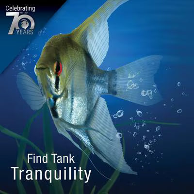 Tetra Pond Spring & Fall Diet Transitional Fish Food 7.05 oz