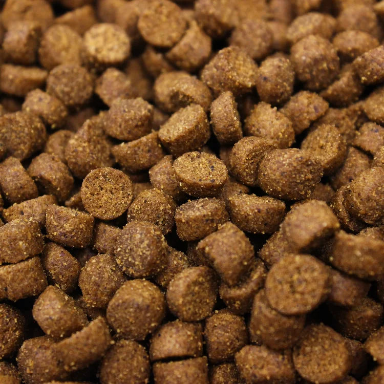 Higgins inTune Complete & Balanced Diet Grain-Free Ferret Food 4 lb
