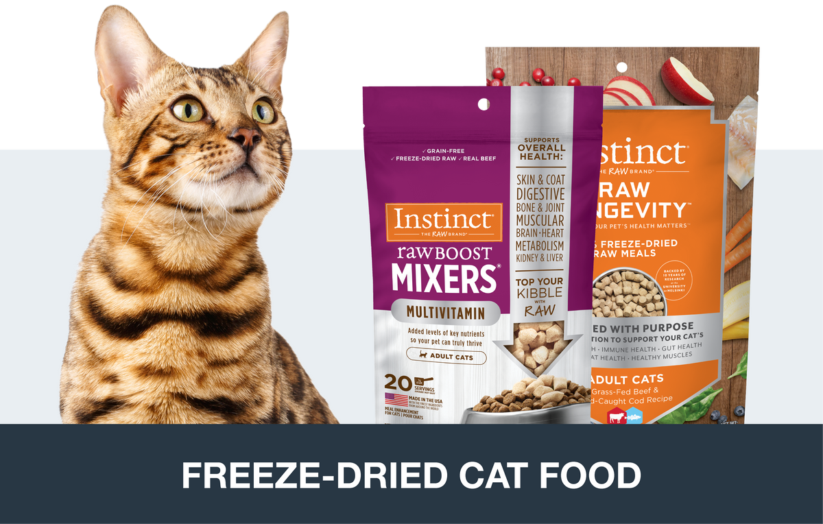 Freeze-Dried Cat Food