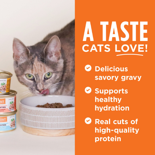 Instinct Flaked Chicken Entrée in Savory Gravy Wet Cat Food