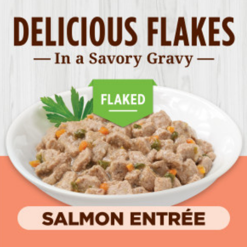 Instinct Pate Real Salmon Entree Grain-Free Wet Cat Food