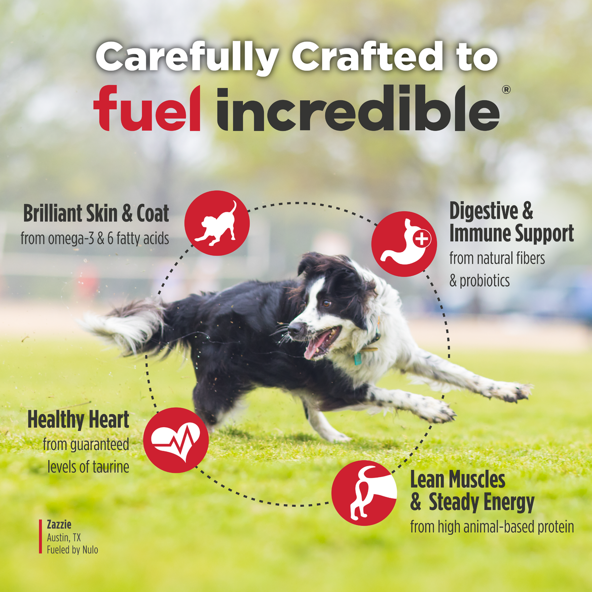 Nulo Freestyle Grain-Free  Salmon Adult Dry Dog Food