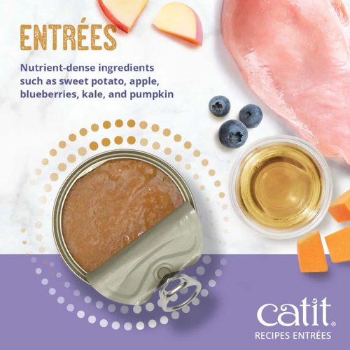 Dave's Naturally Healthy Chicken & Turkey Recipe in Saucey Pate Grain-Free Wet Cat Food