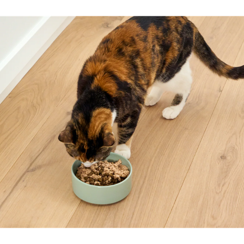 Open Farm Arctic Char Topper for Cats