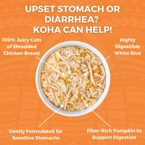 Koha Limited Ingredient Bland Diet Chicken and White Rice with Pumpin Recipe Wet Food for Adult Cats