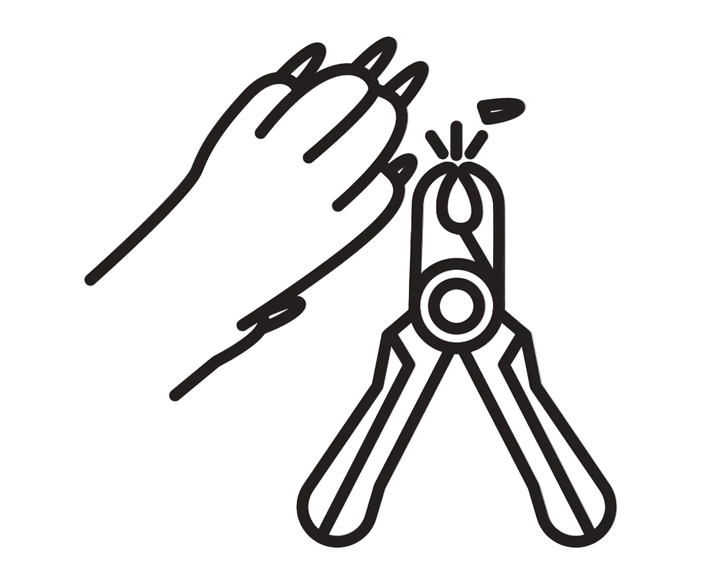 Illustration of a hand holding a pair of garden shears on a white background