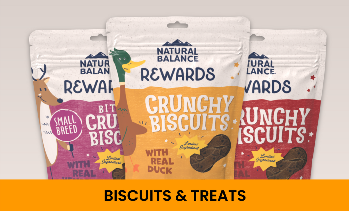Dog Treats Biscuits Cookies Crunchy Treats