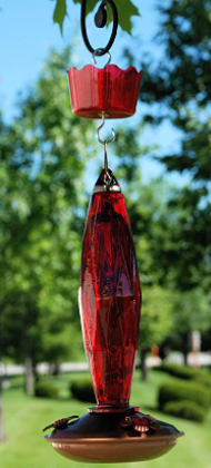 Woodlink Ant Guard Defendant for Hummingbird Feeders